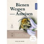 Bienen, Wespen, Ameisen, Bellmann, Heiko, Franckh-Kosmos Verlags GmbH & Co. KG, EAN/ISBN-13: 9783440146675