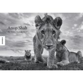 Anup Shah - Die letzten Tiere der Mara, Shah, Anup, Knesebeck Verlag, EAN/ISBN-13: 9783868739640