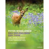 Das Seelenleben der Tiere, Wohlleben, Peter, Ludwig bei Heyne, EAN/ISBN-13: 9783453281103