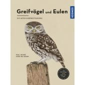 Greifvögel und Eulen, Böhre, Paul/Raedt, Joris De, Franckh-Kosmos Verlags GmbH & Co. KG, EAN/ISBN-13: 9783440159323