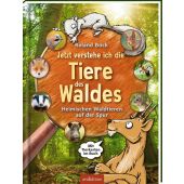 Jetzt verstehe ich die Tiere des Waldes, Bock, Roland/Britzger, Fred, Ars Edition, EAN/ISBN-13: 9783845855653