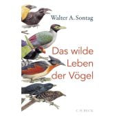 Das wilde Leben der Vögel, Sontag, Walter A, Verlag C. H. BECK oHG, EAN/ISBN-13: 9783406749780
