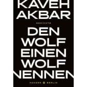Den Wolf einen Wolf nennen, Akbar, Kaveh, Carl Hanser Verlag GmbH & Co.KG, EAN/ISBN-13: 9783446269354