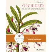 Orchideen, Knapp, Sandra, Prestel Verlag, EAN/ISBN-13: 9783791388632