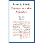 Stimmen aus dem Irgendwo, Harig, Ludwig, Carl Hanser Verlag GmbH & Co.KG, EAN/ISBN-13: 9783446230781