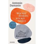 Wie wir denken, wie wir fühlen, Damasio, Antonio, Carl Hanser Verlag GmbH & Co.KG, EAN/ISBN-13: 9783446270947