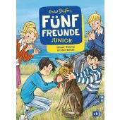 Fünf Freunde JUNIOR - Timmy, der Meisterdetektiv, Blyton, Enid, cbj, EAN/ISBN-13: 9783570178829