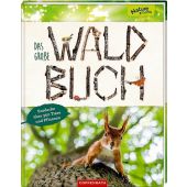 Das große Waldbuch, Oftring, Bärbel/Haag, Holger, Coppenrath Verlag GmbH & Co. KG, EAN/ISBN-13: 9783649627494