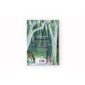 100 Dinge, die du im Wald tun kannst, Davis, Jennifer, Laurence King Verlag GmbH, EAN/ISBN-13: 9783962441418