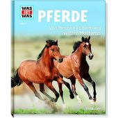 Pferde - Von frechen Fohlen und wilden Mustangs