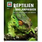 Amphibien und Reptilien - Gecko, Grasfrosch und Waran