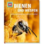 Bienen und Wespen