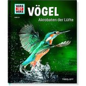 Vögel - Akrobaten der Lüfte