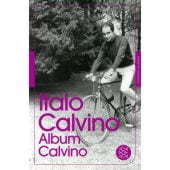 Album Calvino, Calvino, Italo, Fischer, S. Verlag GmbH, EAN/ISBN-13: 9783596950072