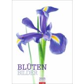 Blütenbilder Kalender 2025, Weingarten, EAN/ISBN-13: 9783839900048