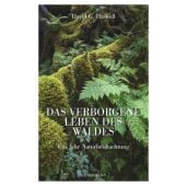 Das verborgene Leben des Waldes, Haskell, David G, Verlag Antje Kunstmann GmbH, EAN/ISBN-13: 9783956140617