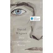 Der vergessliche Riese, Wagner, David, Rowohlt Verlag, EAN/ISBN-13: 9783498073855