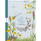 Die Pfütze, Huber-Janisch, Angelika, Knesebeck Verlag, EAN/ISBN-13: 9783957285300