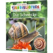 Die Schnecke, Starosta, Paul, Esslinger Verlag, EAN/ISBN-13: 9783480236589