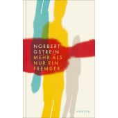 Mehr als nur ein Fremder, Gstrein, Norbert, Carl Hanser Verlag GmbH & Co.KG, EAN/ISBN-13: 9783446276659