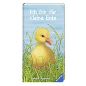 Ich bin die kleine Ente