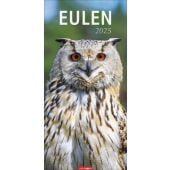 Eulen Kalender 2025, Weingarten, EAN/ISBN-13: 9783839900765