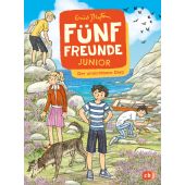 Fünf Freunde jagen den unsichtbaren Dieb, Blyton, Enid, cbj, EAN/ISBN-13: 9783570178805