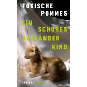 Ein schönes Ausländerkind, Toxische Pommes, Zsolnay Verlag Wien, EAN/ISBN-13: 9783552073968