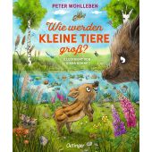 Wie werden kleine Tiere groß?, Wohlleben, Peter, Verlag Friedrich Oetinger GmbH, EAN/ISBN-13: 9783751203999