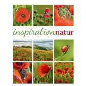 Inspiration Natur Kalender 2025, Ackermann Kunstverlag, Ackermann Kunstverlag, EAN/ISBN-13: 9783838425856