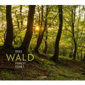 Wald Kalender 2025, Ackermann Kunstverlag, Ackermann Kunstverlag, EAN/ISBN-13: 9783838425221