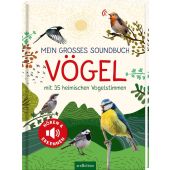 Mein großes Soundbuch Vögel, Wagner, Eva, Ars Edition, EAN/ISBN-13: 9783845852669