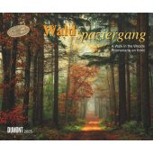 Waldspaziergang 2025 - Fotokunst-Kalender - Querformat 60 x 50 cm - Spiralbindung, Goor, Lars van de, EAN/ISBN-13: 4250809653426