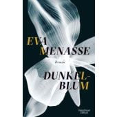 Dunkelblum, Menasse, Eva, Verlag Kiepenheuer & Witsch GmbH & Co KG, EAN/ISBN-13: 9783462047905