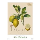 Pierre Antoine Poiteau: Alte Obstsorten 2025 - DUMONT Kunst-Kalender - Poster-Format 50 x 70 cm, EAN/ISBN-13: 4250809652931