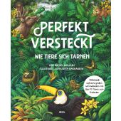 Perfekt versteckt, Williams, Rachel, Insel Verlag, EAN/ISBN-13: 9783458644118