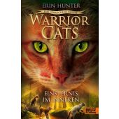 Warrior Cats - Das gebrochene Gesetz. Finsternis im Inneren, Erin Hunter, EAN/ISBN-13: 9783407756053