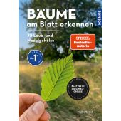 Bäume am Blatt erkennen - 78 Laub- und Nadelgehölze. Blätter in Originalgröße, Bosch, Meike, EAN/ISBN-13: 9783440179802