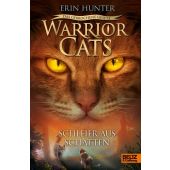 Warrior Cats - Das gebrochene Gesetz. Schleier aus Schatten, EAN/ISBN-13: 9783407758538