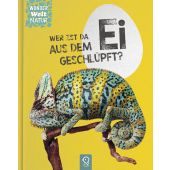 Wer ist da aus dem Ei geschlüpft?, klein & groß Verlag, EAN/ISBN-13: 9783946360384